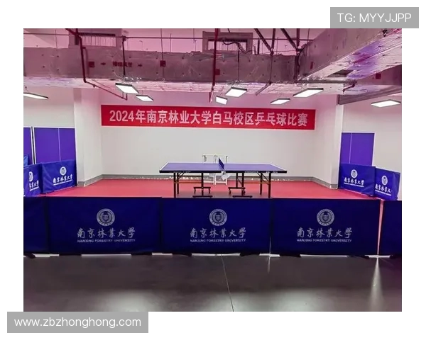 南京乒乓球队比赛经验的创新与变革引发热议