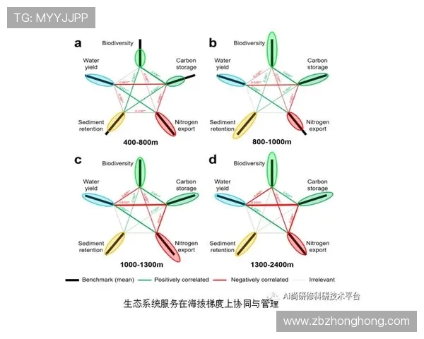重庆网球队防守策略分析及其在比赛中的成效评估
